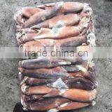 2016 Delicious Fresh Seafood Illex Squid 200g-300g for Market thumbnail-3