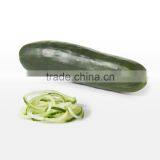 2016 Amazon Hot Selling Hand-held Sprializer Vegetable Slicer Spiral Slicer thumbnail-5