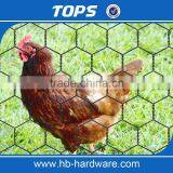 Galvanized Hexagonal Wire Netting Chicken Poultry Fence thumbnail-2