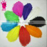 Wholesale Multicolor Decotation Ostrich Feather thumbnail-2