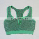 2014 New Style Breathable and Light Seamless Knitting Seamless Women Sport Bra thumbnail-1