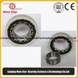 Cylindrical Roller Bearing thumbnail-3