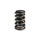 Valve Spring thumbnail-1