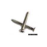Pan Head With Slotted Self-tapping Screw thumbnail-1