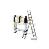 Multi-purpose Telescopic Ladder thumbnail-1