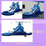 Dolphin water slide for kids