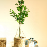 China Supplier Artificial 1.5 Meter Mini Banyan Tree Potted
