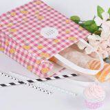 Good Sale Fashion Paper Bag Craft thumbnail-4