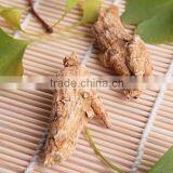 Organic American Panax Ginseng Root Good for Health
