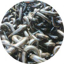 24mm Stud Link Marine Anchor Chains With BV Certificate thumbnail-3