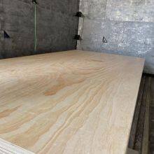 332897337_6598876200125947_8262198657802994263_n