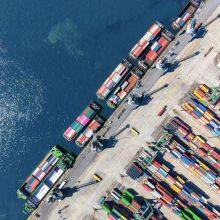 Sea Freight/China Import and Export