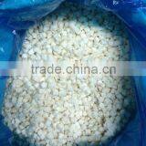 Frozen Waterchestnuts Diced thumbnail-1