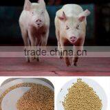 800 Kgs per Hour Economical Catte Feed Pelletizer thumbnail-6