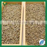 High quality Typica Arabica Green Coffee Beans