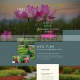 Php Development Company