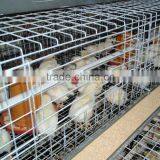 Cage Equipment for Breeders thumbnail-2