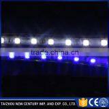 Blue Color Christmas Decorative Led Rope Lights Round Rope Light thumbnail-2