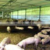 Wall Air Cooling Fan & Industrial Cooling Fan & Exhaust Fan (JHS-1380) thumbnail-1