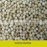 WHITE PEPPER