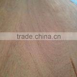 0.3mm Keruing Face Veneer / Gurjan Face Veneer A Grade thumbnail-3