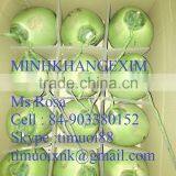 FRESH GREEN COCONUT - VIETNAM - HIGH QUALITY - +84-903380152