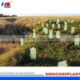Protective Eco-friendly Plastic Tree Wrap thumbnail-4