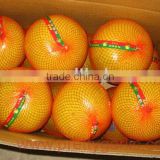 Honey Pomelo Fruit 2011 New Crop