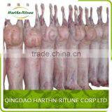 frozen whole lamb carcass meat