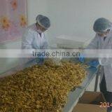 2015 New Crop Dried Light / Amber Broken Walnut Kernels Pieces thumbnail-5