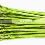 Frozen Asparagus thumbnail-3