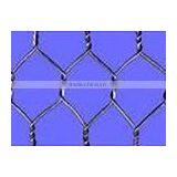 Hexagonal Wire Mesh