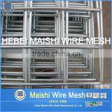 Welded Wire Mesh (iso9001 Factory Price) thumbnail-3