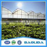 Cheap Price Greenhouse thumbnail-1