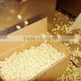 Corn Snack Food Machine-Jinan Chenyang Company