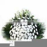 Fresh Floral Foam for Funeral Flowers Accessories thumbnail-1
