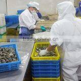Frozen Cooked Short Necked Clam Export Standard thumbnail-2