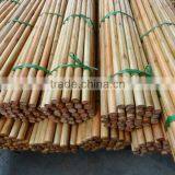 1200mm x 22mm Varnished Wooden Mop Handle thumbnail-6