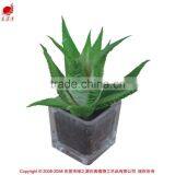 Nearly Natural Mini Succulents Potted Plant Small Succulents thumbnail-2