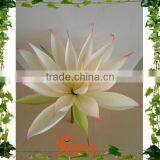 Lotus Artificial Flowers Waterproof Flower Without Leaves thumbnail-1
