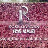 Artificial Plant Wall for Outdoor Decorative Plant Wall thumbnail-2