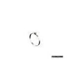 Worm Drive Hose Clamps-Perforation(SAE)