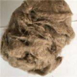 Mink Cashmere thumbnail-1