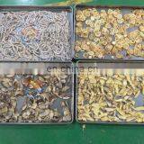 Industrial Turmeric Drying Machine, Vegetable and Fruit Drying Equipment thumbnail-5