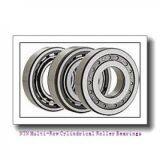 NTN Multi-Row Cylindrical Roller Bearings thumbnail-1