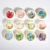 New Arrival 12 Colors Dried Flowers 3d Natural Gyps Nail Art Decorations thumbnail-4