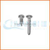 China Supplier Zinc Plated Anti-theft Screws