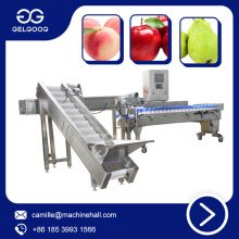 Automatic Vegetable Classifying Machine Factory Price  Lemon Grading Machine