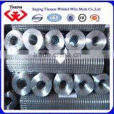 China Reliable Pvc Coated/galvanized/stainless Steel Welded Wire Mesh Manufacturer