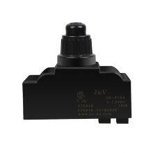 J&V Pulse Igniter with Ordinary Cap Information